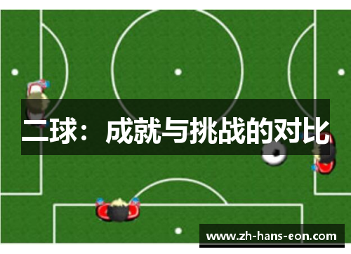 二球：成就与挑战的对比