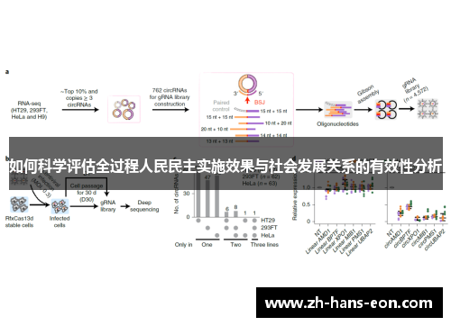 如何科学评估全过程人民民主实施效果与社会发展关系的有效性分析