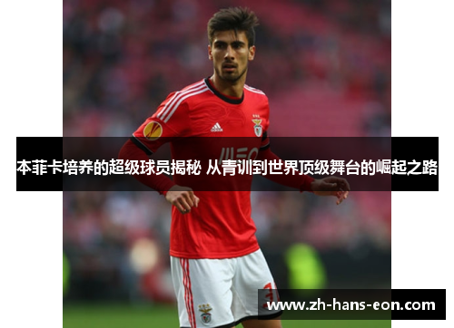 本菲卡培养的超级球员揭秘 从青训到世界顶级舞台的崛起之路