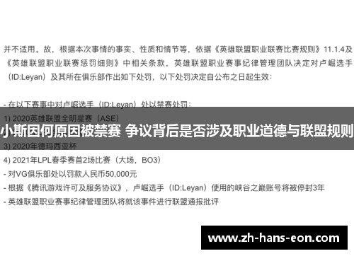小斯因何原因被禁赛 争议背后是否涉及职业道德与联盟规则